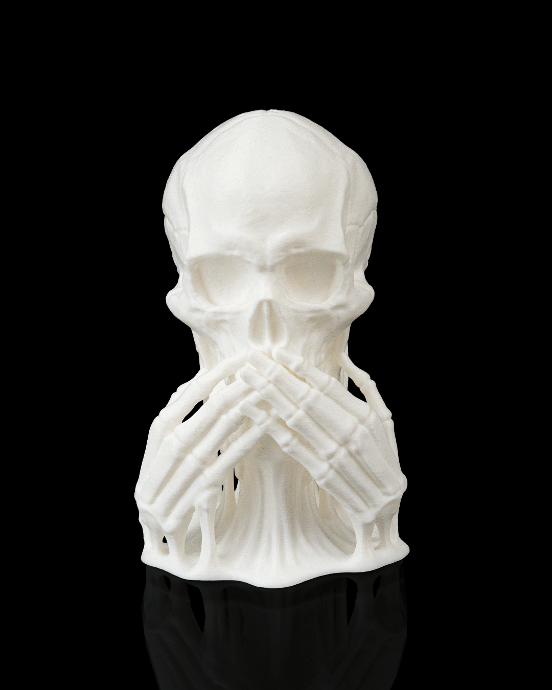 đź’€ Skulls of Wisdom
