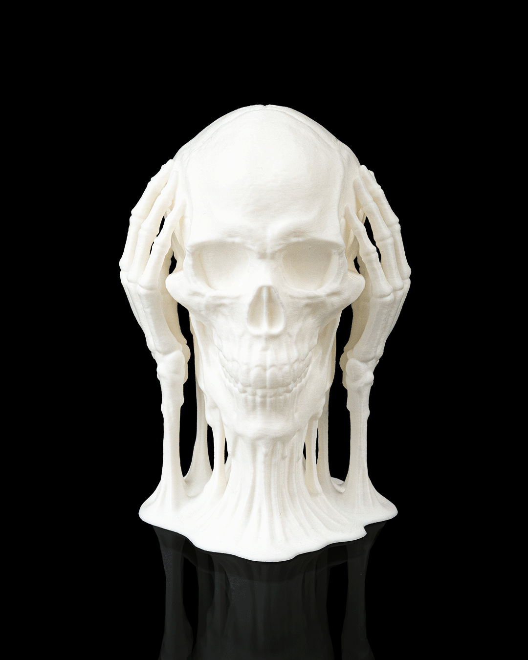 đź’€ Skulls of Wisdom