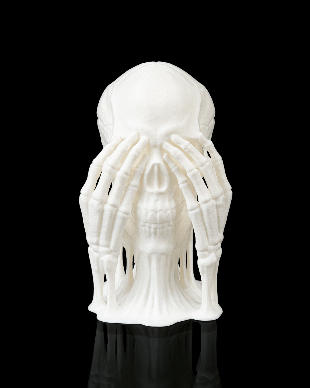 đź’€ Skulls of Wisdom