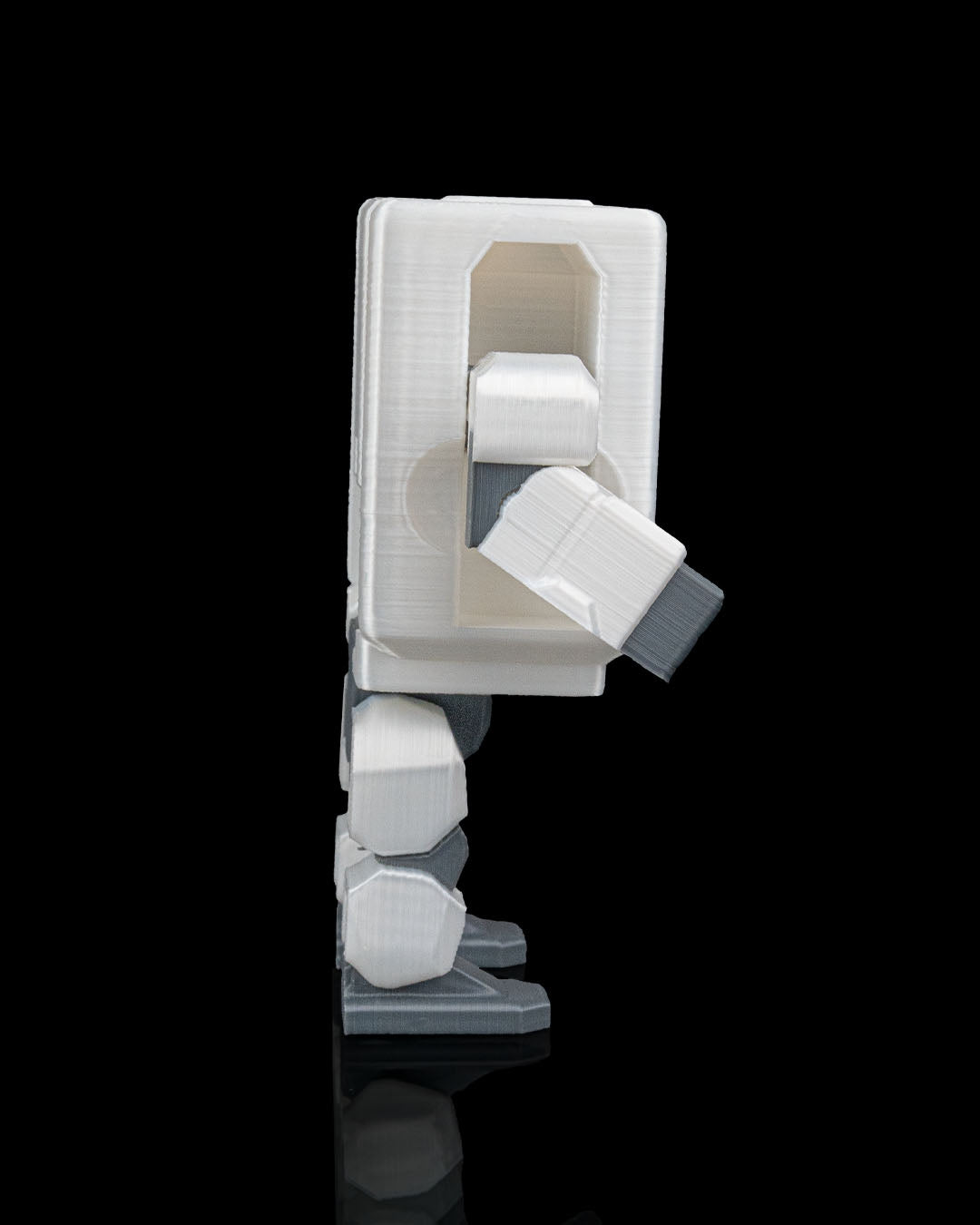 RAMble  - Custom Toy