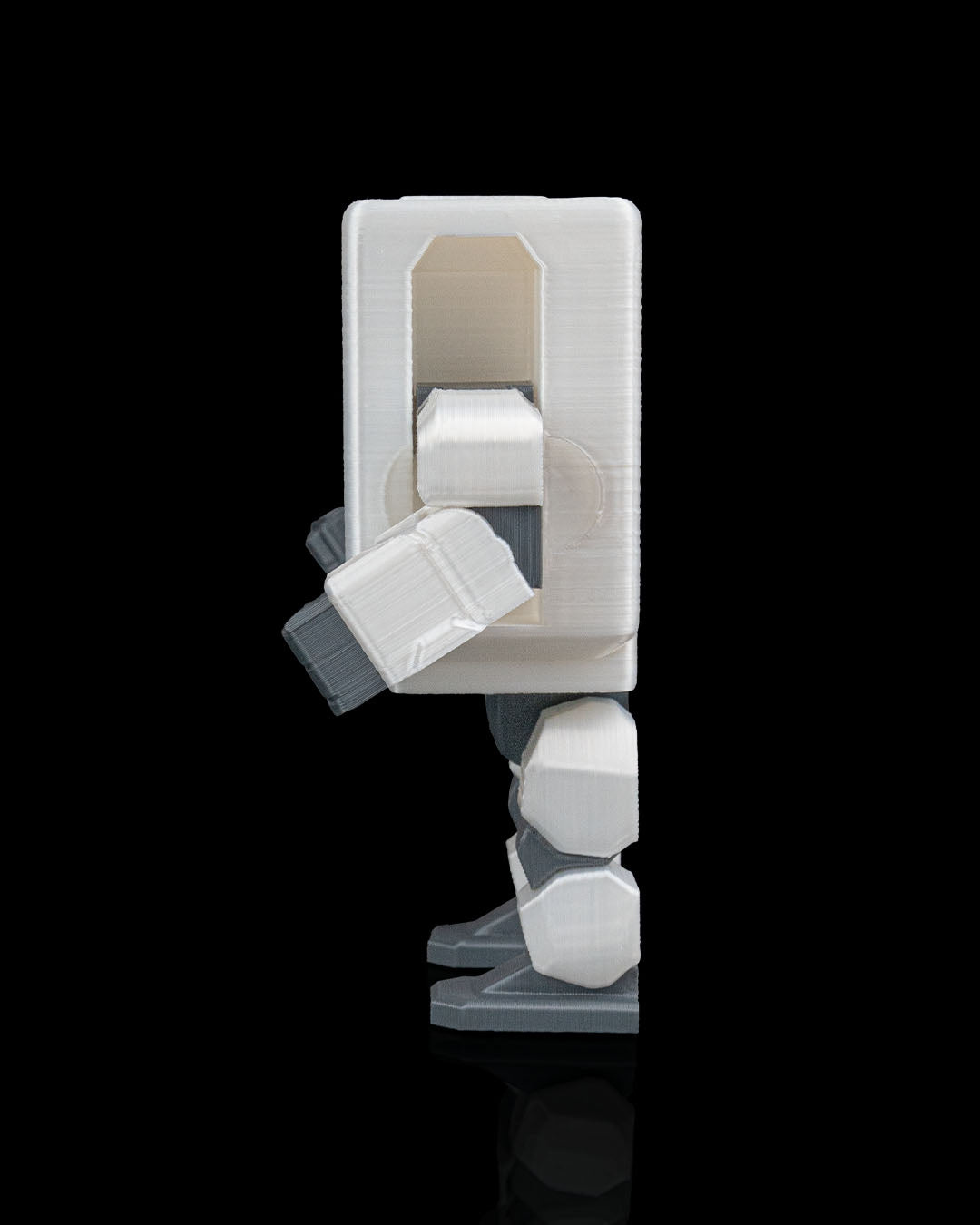 RAMble  - Custom Toy