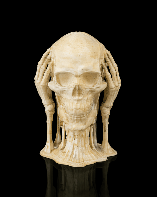💀 Skulls of Wisdom