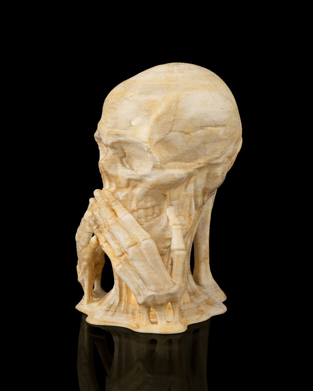 💀 Skulls of Wisdom