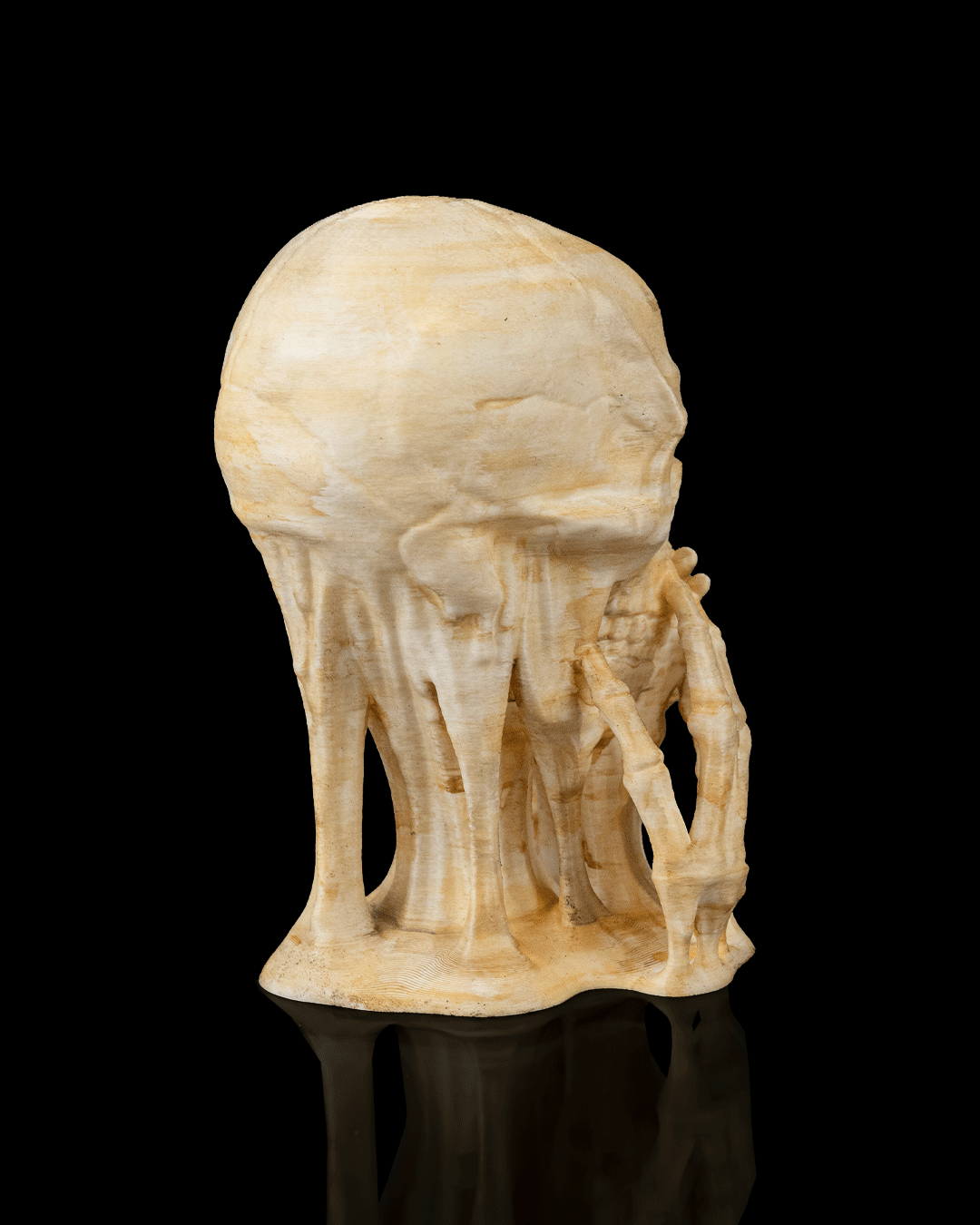 💀 Skulls of Wisdom