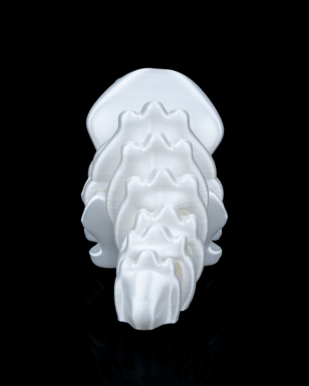 Triceratops Flexi Fossil